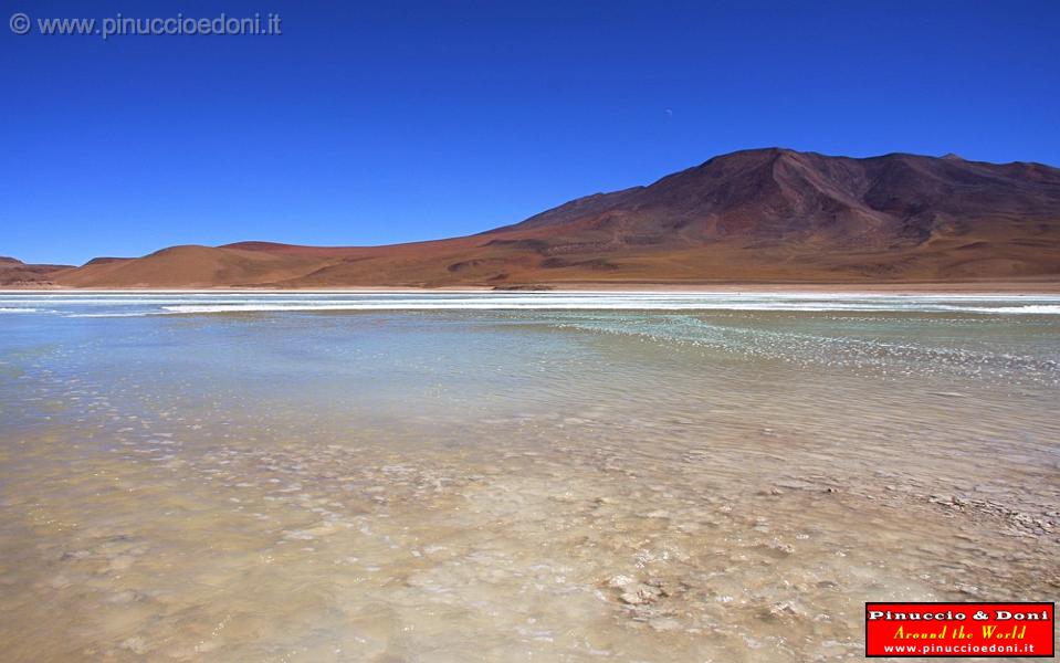 BOLIVIA 2 - Laguna Blanca - 17.jpg